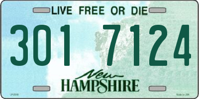 NH license plate 3017124