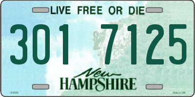 NH license plate 3017125