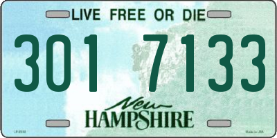 NH license plate 3017133