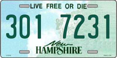 NH license plate 3017231