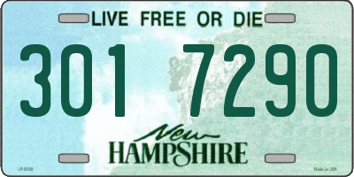 NH license plate 3017290