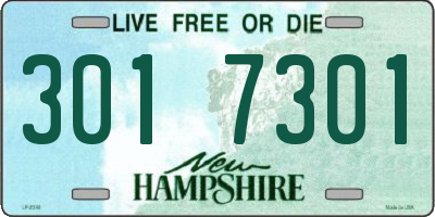 NH license plate 3017301