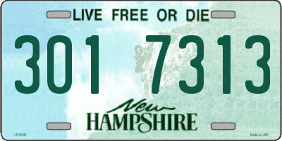 NH license plate 3017313