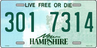 NH license plate 3017314