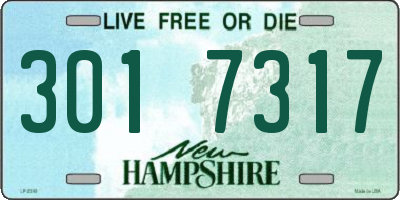 NH license plate 3017317