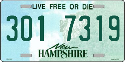 NH license plate 3017319