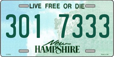 NH license plate 3017333