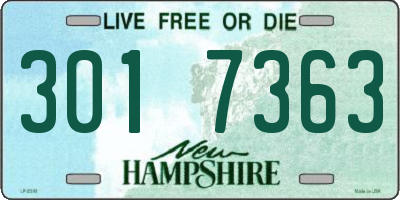 NH license plate 3017363