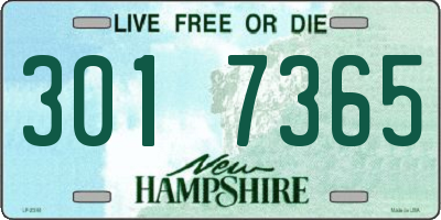 NH license plate 3017365