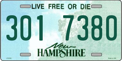NH license plate 3017380