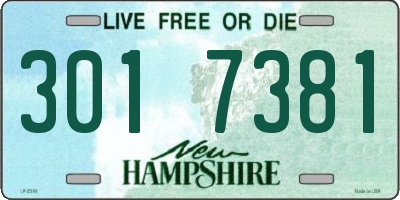 NH license plate 3017381