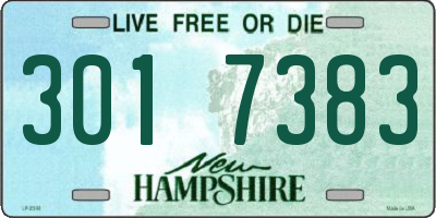 NH license plate 3017383