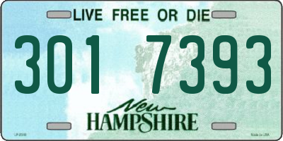 NH license plate 3017393