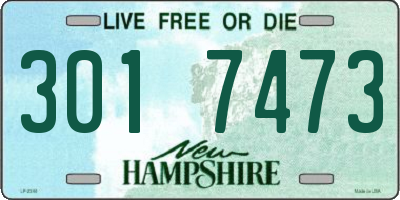 NH license plate 3017473
