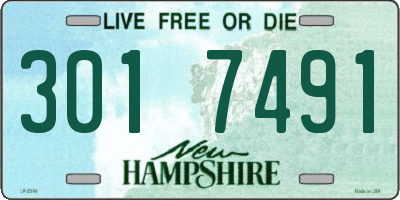 NH license plate 3017491
