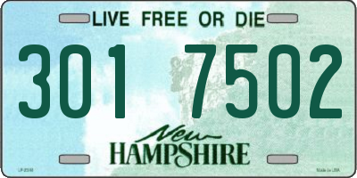NH license plate 3017502