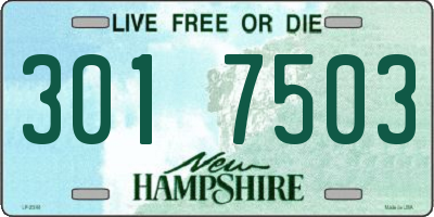 NH license plate 3017503