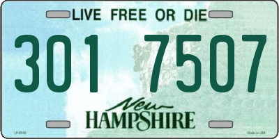 NH license plate 3017507
