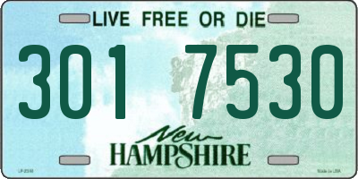 NH license plate 3017530