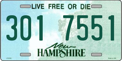 NH license plate 3017551