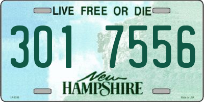 NH license plate 3017556