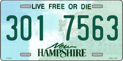 NH license plate 3017563