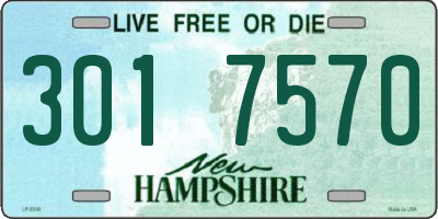 NH license plate 3017570
