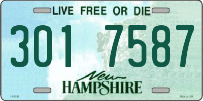 NH license plate 3017587