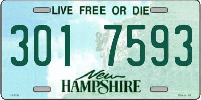 NH license plate 3017593