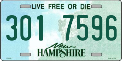 NH license plate 3017596