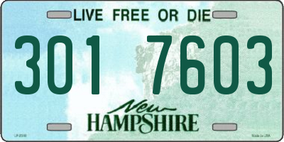 NH license plate 3017603