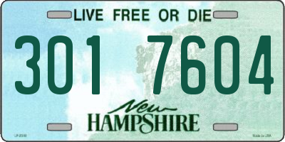 NH license plate 3017604
