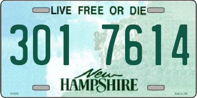 NH license plate 3017614
