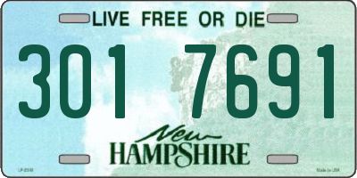 NH license plate 3017691