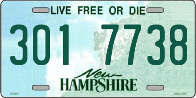 NH license plate 3017738
