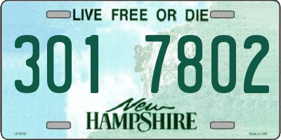 NH license plate 3017802