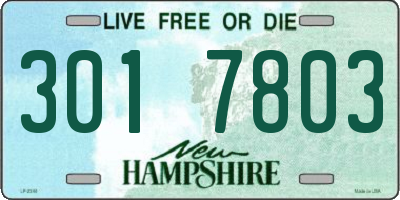 NH license plate 3017803