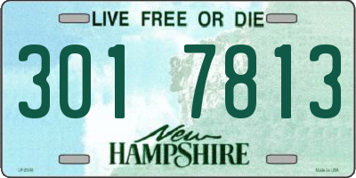 NH license plate 3017813