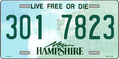 NH license plate 3017823