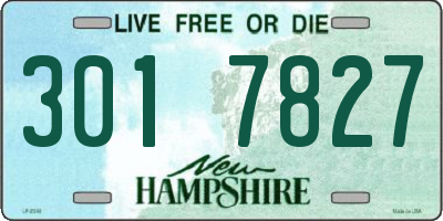 NH license plate 3017827