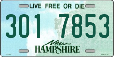 NH license plate 3017853