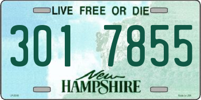 NH license plate 3017855