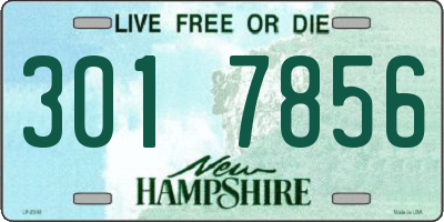 NH license plate 3017856