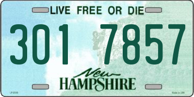NH license plate 3017857