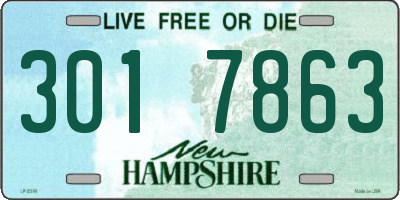 NH license plate 3017863