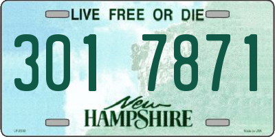NH license plate 3017871