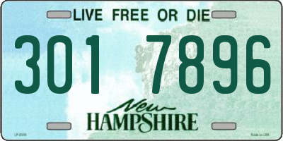NH license plate 3017896