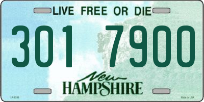 NH license plate 3017900