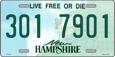 NH license plate 3017901