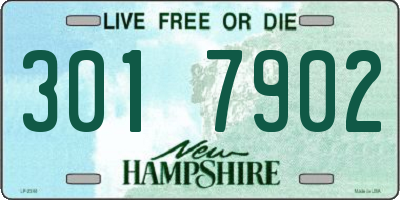 NH license plate 3017902